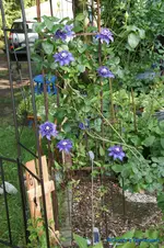 comp_DSC05000.webp