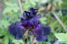 comp_DSC04995.webp
