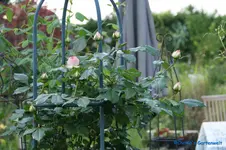 comp_DSC05006.webp