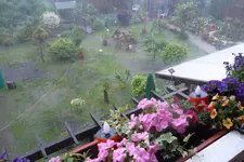 SAM_1452.webp
