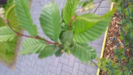 IMG_20160602_203349.webp