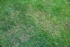 IMG_2402low.webp