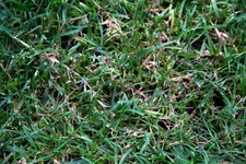 IMG_2404low.webp