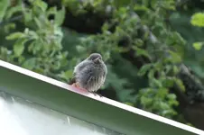 DSCF6153.webp