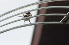 DSCF6162.webp