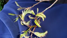 20160514_184258-1.webp