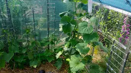 comp_20160530_121339.webp