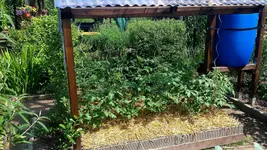 comp_20160530_121427.webp