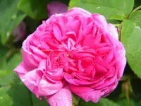 DSCN0311.jpg