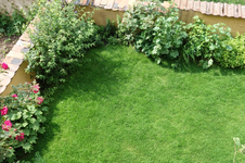 garten 2016-01.webp