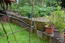 DSC_0837.webp