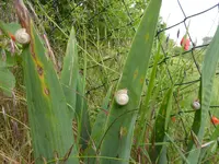 P1160035.webp