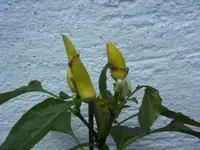 BILD5030.webp