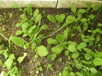 BILD5021.webp