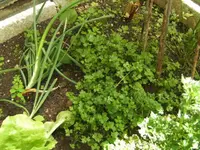 BILD5023.webp