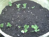 BILD5051.webp