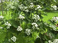 BILD5058.webp