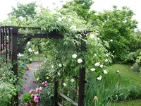 IMG_4831.webp