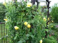 IMG_4840.webp