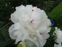 IMG_4841.webp