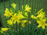 IMG_4842.webp