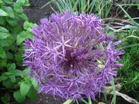 IMG_4837.webp