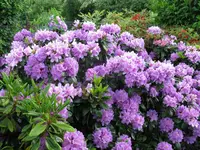 IMG_4838.webp