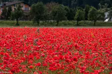 IMG_0360-2.webp