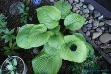 comp_DSC05001.webp