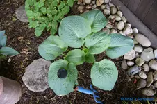 comp_DSC05002.webp