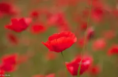 IMG_0384.webp