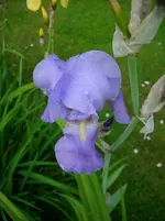 DSCI4049.webp
