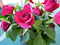 25651746tq.webp