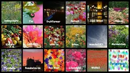 Copy of _Mai 2016 Farbenrausch v (1).webp