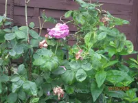 IMG_6141.webp
