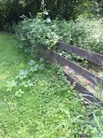 16.webp