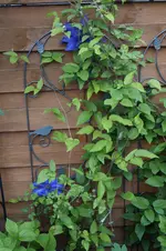_DSC0515.webp