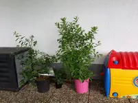 20160604_185635.jpg