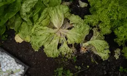 20160604_203614.webp