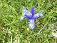 Bilda043.webp
