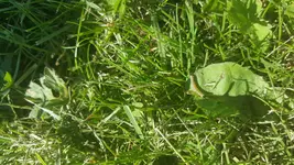 20160605_094253.jpg