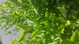 20160605_094201.jpg