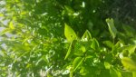 20160605_094125.jpg