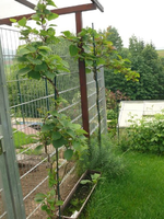 k-P1110065.webp
