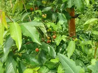 k-P1110095.webp