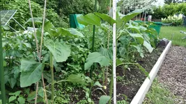 20160605_175507.webp