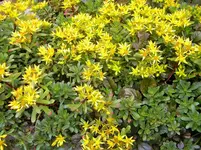 DSCN0257.webp