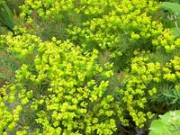 DSCN0261.webp