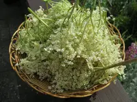 IMG_4847.webp