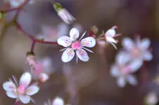 DSC_2029a.webp
